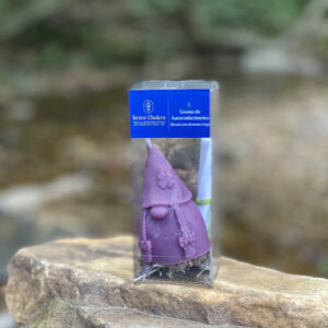 Gnomo do Autoconhecimento