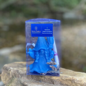 Gnomo da Limpeza Energética